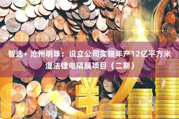 智选+ 沧州明珠：设立公司实施年产12亿平方米湿法锂电隔膜项目（二期）