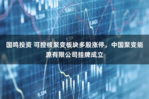 国鸣投资 可控核聚变板块多股涨停，中国聚变能源有限公司挂牌成立