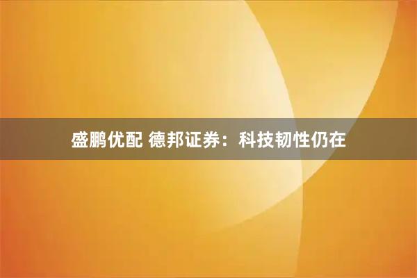 盛鹏优配 德邦证券：科技韧性仍在